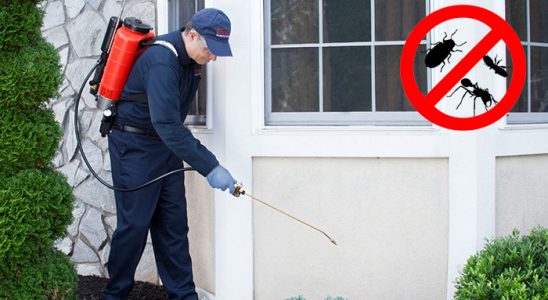 Toroslar Böcek ve Haşere İlaçlama böcek ilaçlama ve haşere kontrolü — ilaclama-tr.com